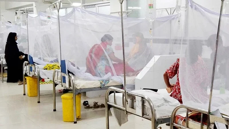 ডেঙ্গুর দাপটে হাসপাতাল ভরছে, জুলাইয়ের প্রথম তিন দিনে ভর্তি ১১৬০ জন