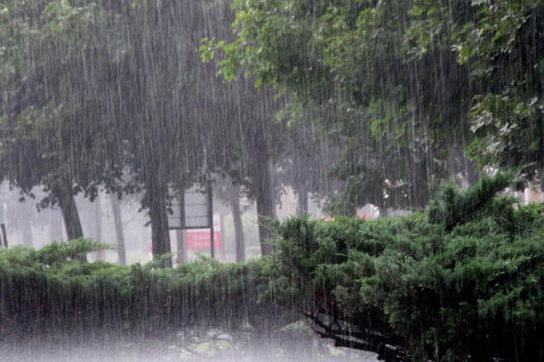 আগামী পাঁচদিন সারাদেশে ভারী বৃষ্টির সম্ভাবনা, সতর্ক থাকার পরামর্শ