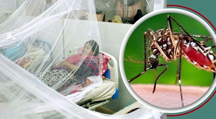 সারাদেশে আবারও বাড়ছে ডেঙ্গুর প্রকোপ, একদিনেই হাসপাতালে ভর্তি ৩৪৩ জন