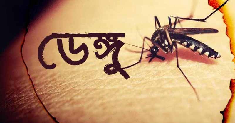 নভেম্বরেই ডেঙ্গু মৃত্যু এবারের সর্বোচ্চ, হাসপাতালে ভর্তি ছাড়ালো ৯০ হাজার