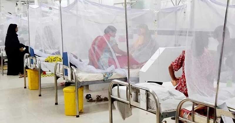 ডেঙ্গুতে আবারও প্রাণহানি বাড়ল: একদিনে ৭ জনের মৃত্যু, হাসপাতালে ভর্তি ৫৬৭ জন