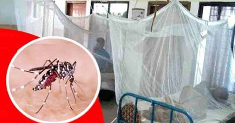 ২৪ ঘণ্টায় ডেঙ্গুতে দুইজনের মৃত্যু—হাসপাতালে নতুন ভর্তি ৪৫৫, পরিস্থিতি আবারও উদ্বেগজনক