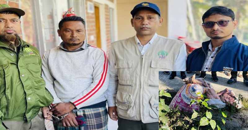 সুন্দরবনে ফের বন্যপ্রাণী নিধনের ছায়া, বস্তাভর্তি হরিণের মাংসসহ এক ব্যক্তি আটক