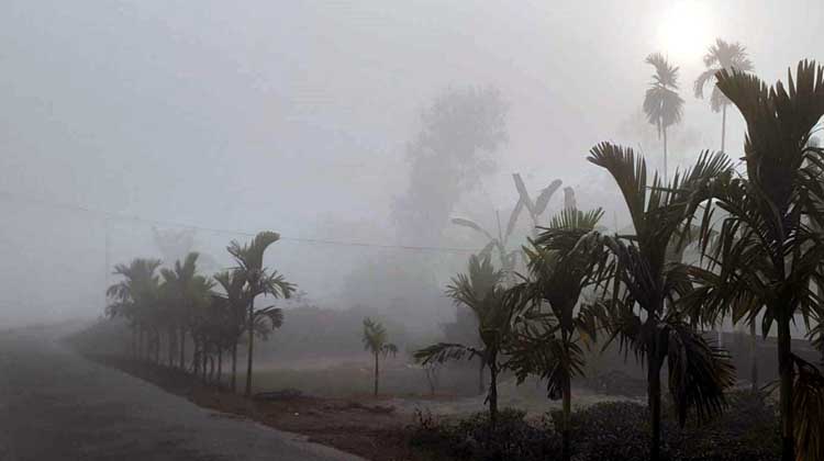 রাত বাড়লেই বাড়বে শীতের কামড়, উত্তরাঞ্চলে ঘন কুয়াশার সতর্কতা