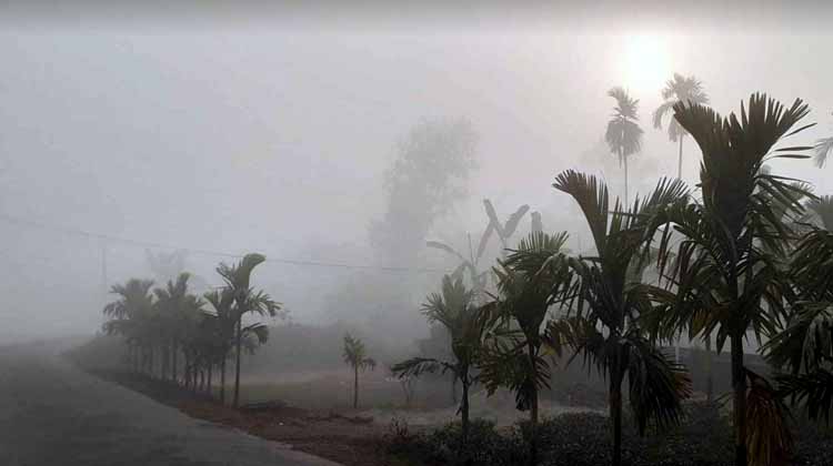 শেষরাত থেকে কুয়াশায় ঢাকবে দেশ: সকালের আগে দৃশ্যমানতা কমার সতর্কতা আবহাওয়া অফিসের