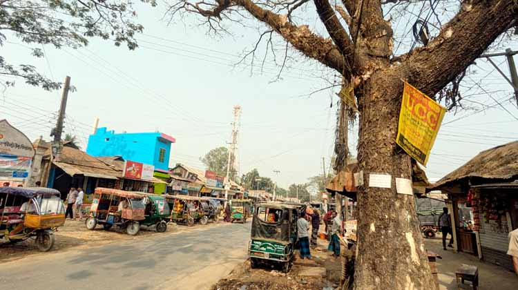 জামায়াত নেতা নিহতের পর ঝিনাইগাতীতে আতঙ্ক: ফাঁকা সড়ক, বন্ধ বাজার, কড়া নিরাপত্তা