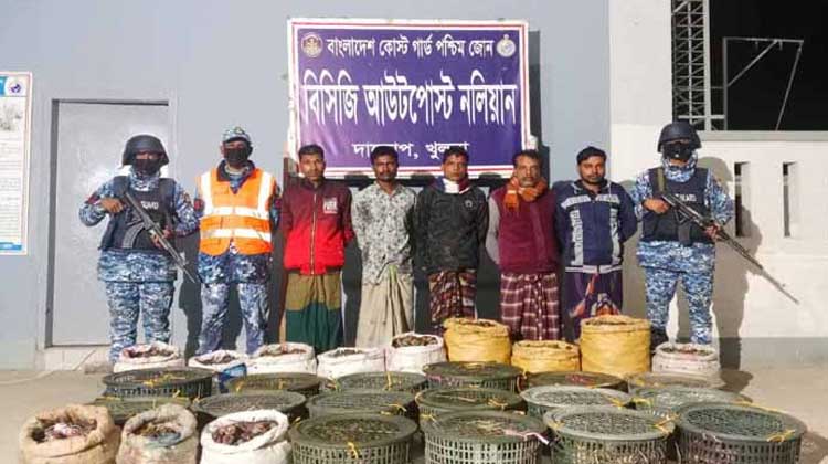 নিষেধাজ্ঞা উপেক্ষা করে সুন্দরবনে কাঁকড়া পাচার: বিপুল পরিমাণ কাঁকড়াসহ ৫ ব্যবসায়ী গ্রেপ্তার
