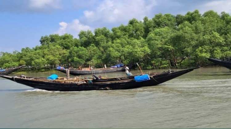 সুন্দরবনে আতঙ্ক: জেলেদের নৌকায় হানা, দুই জেলেকে তুলে নিলো জাহাঙ্গীর বাহিনী