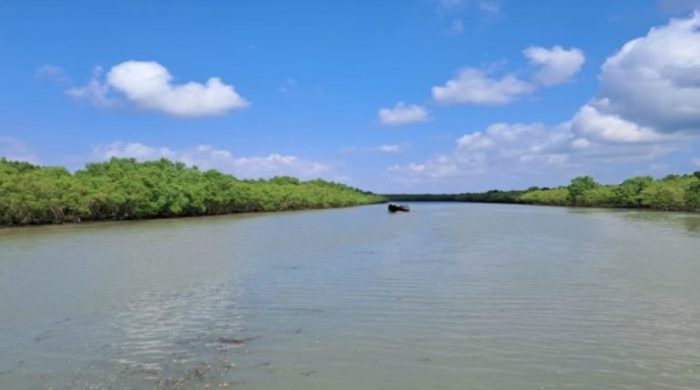 বঙ্গোপসাগরে চার বনদস্যু চক্রের দাপট, ২০ জেলে অপহরণ