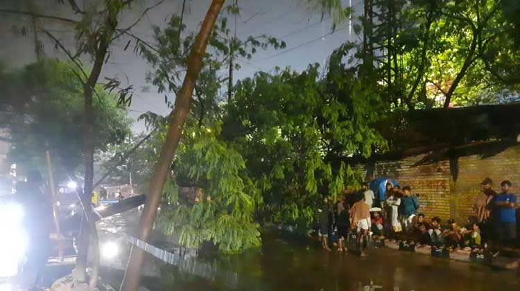 ঝড়-বৃষ্টিতে অচল কমলাপুর—উপড়ে পড়া গাছে বন্ধ সড়ক, বিদ্যুৎহীন বহু ঘর