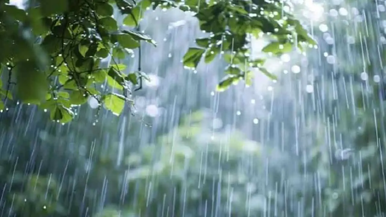 টানা বৃষ্টির সতর্কতা, চার বিভাগে ভারী বর্ষণ