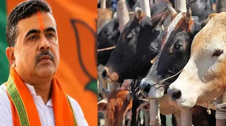 সরকারি নির্দেশনায় পশ্চিমবঙ্গে গরুর বাজারে অস্থিরতা